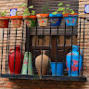 Meet your Posher, Abbey